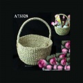 abaca_sisal_edtd