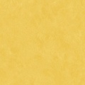 wp001-01-1