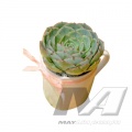 product_3