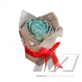 product_5