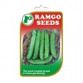 winged_bean_sigarilyas_2