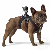 gopro_fetch_2_1344314815