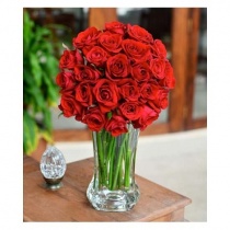 grand_gala_premium_2