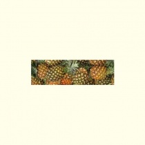 pineapple_172302121