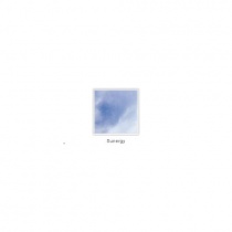 sunergy_2