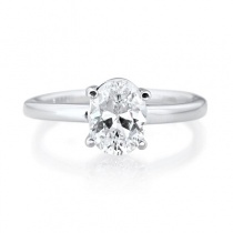 serene_oval_19696084