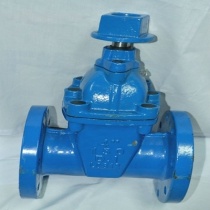 di_gate_valve_flange_type_1593554556