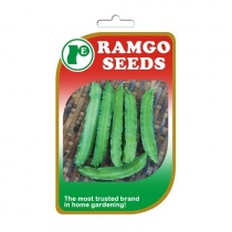 winged_bean_sigarilyas_2