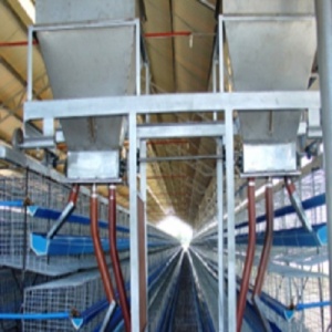 electric-feeding-hopper