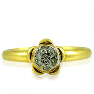 orange_blossom_662939274