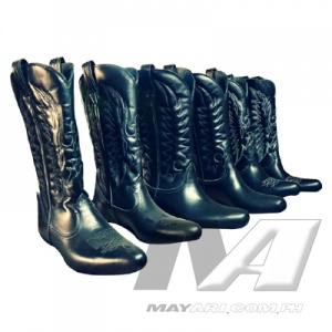 cowboys_boot