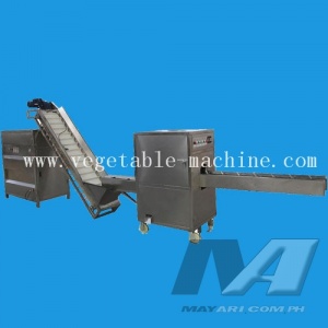 onion-peeling-processing-line_1459228748