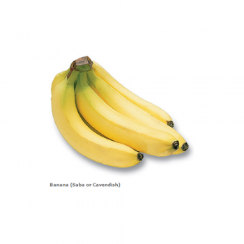 banana__saba_or_cavendish_-023