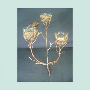 birdnest_edtd