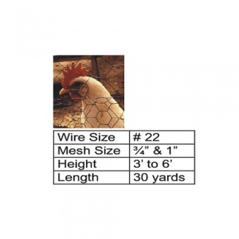 chicken_wire_img_1977013220-023