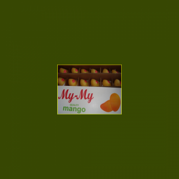 mein_mangoshaitzen_224035769