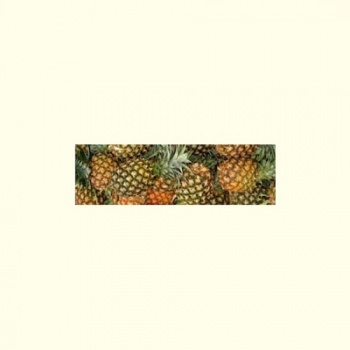 pineapple_172302121