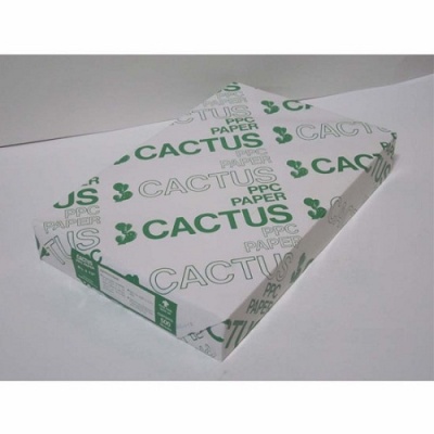 cactus_ppc_paper_1_7473951528_387604055