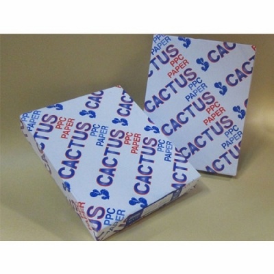 cactus_ppc_paper_2_7145961513_1066852443