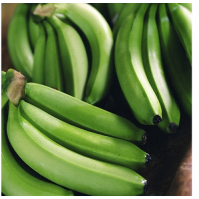 cavendish_banana_9132785637-023