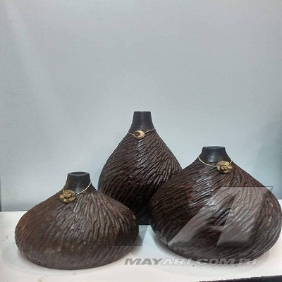 dravina_set