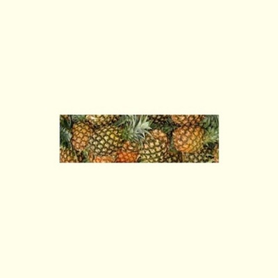 pineapple_172302121