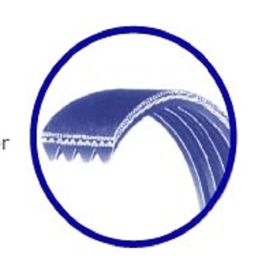 rib_ace_belts